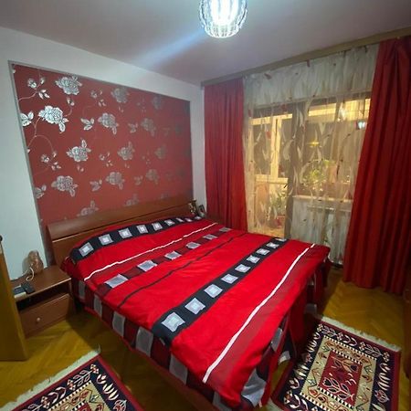 Friend'S House Apartment Pitesti Bagian luar foto