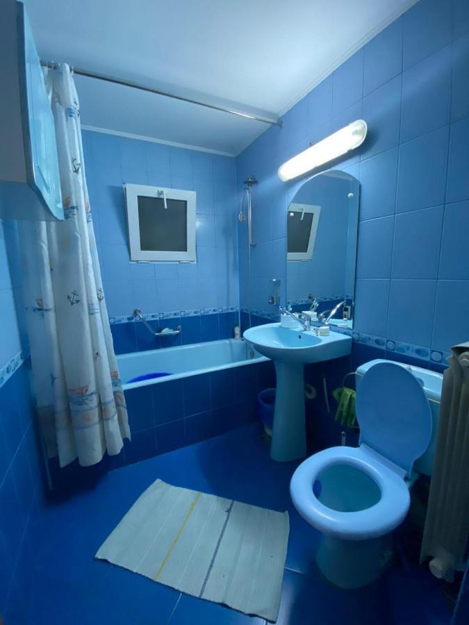 Friend'S House Apartment Pitesti Bagian luar foto