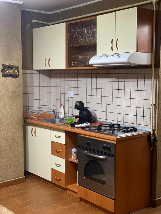 Friend'S House Apartment Pitesti Bagian luar foto