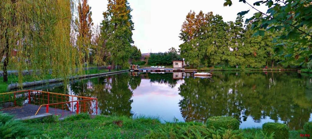 Friend'S House Apartment Pitesti Bagian luar foto