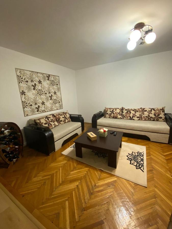 Friend'S House Apartment Pitesti Bagian luar foto